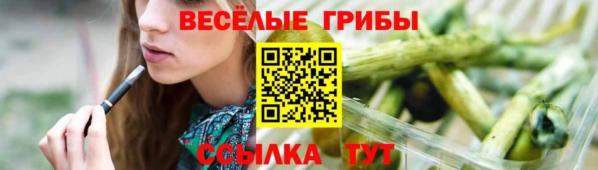 Галлюциногенные грибы Cubensis  Вход с VPN  Россия  Галлюциногенные грибы Psilocybine cubensis 